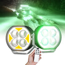 Durable LED light with amber or red halo and remote control