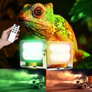 LED light with amber, green, and white light settings for versatile use